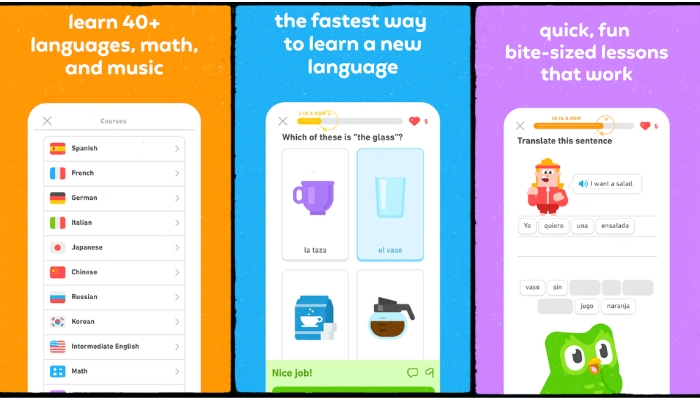 Best App to Learn French from Scratch
