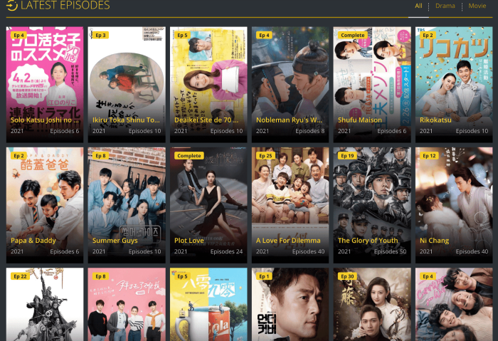 Watch Korean Dramas with Subtitles Using This Amazing App