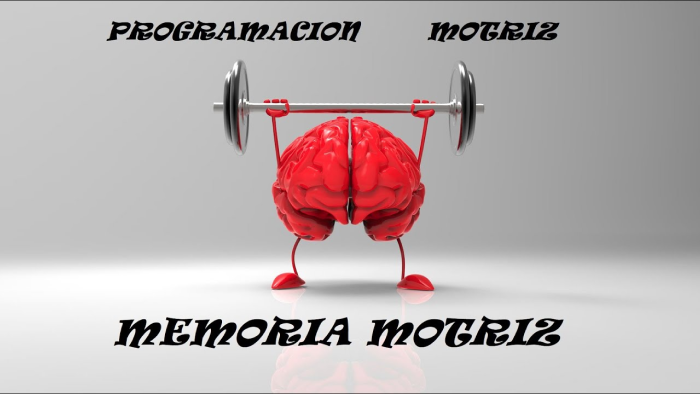 Improve Your Memory with These Brain Training Apps